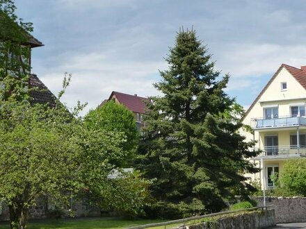 Sanierte 3-Zimmer-Wohnung mit Südbalkon in zentraler Lage