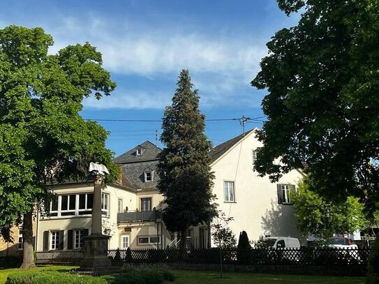 TOP Gelegenheit! Traumhaft schöne Wohnung im historischen Stadthaus in Bad Sobernheim zu verkaufen