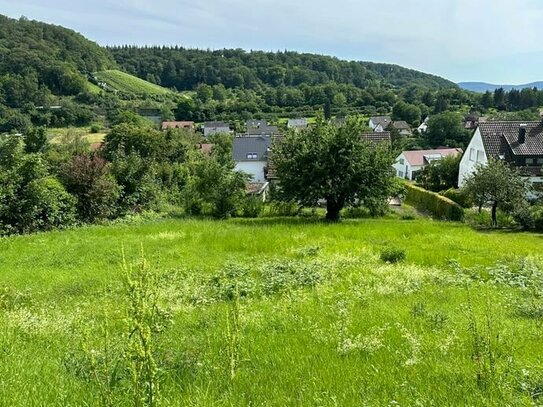 BAUPLATZ IN SÜDHANGLAGE