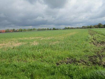 Landwirtschaftliche Ackerfläche meistbietend zu verkaufen