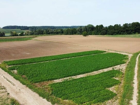 Landwirtschaftliche Flächen bei Niederhausen/Reisbach