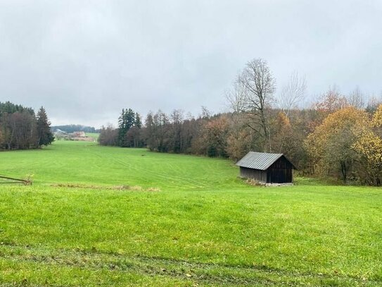 Land und Forstwirtschaft in Wangen im Allgäu (88239)