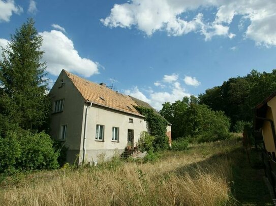 Unweit Dahlener Heide - Idyllisch gelegenes Grundstück zur Neubebauung