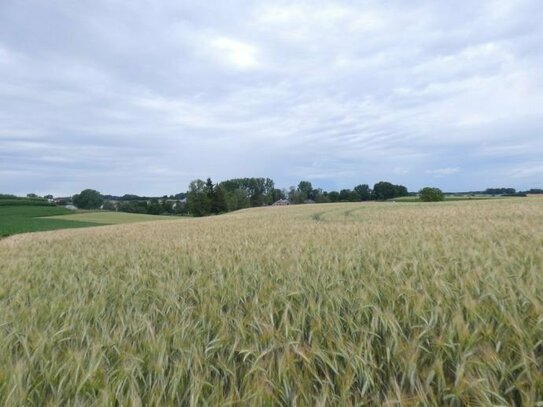 Hilgertshausen-Tandern, 2 landwirtschaftliche Grundstücke, arrondiert, Ortsrandlage