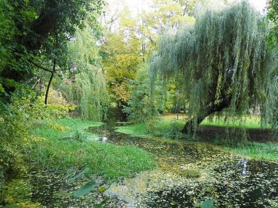 Traum, Traum, Traum - Wassermühle