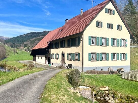 Traum vom eigenen Haus mit großem Hof und Grundstück im Kleinen Wiesental in Bürchau, bei dem altbekannten Mühlenrad