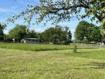 Preis-/Leistungsknaller vor den Toren von Dresden direkt in Reinhardtsgrimma