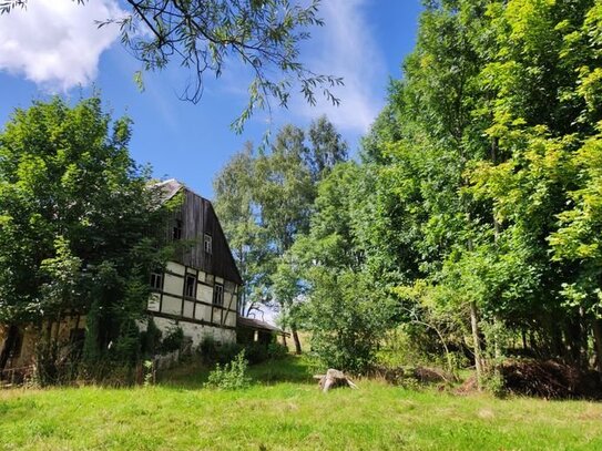 Riesiges, sonniges Baugrundstück mit Platz für Tierhaltung