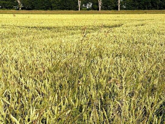 0,8 ha Ackerland in Düsseldorf