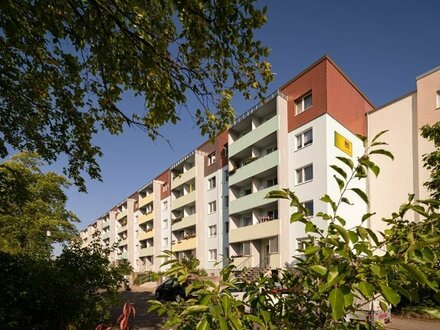 Gemütliche 3 Zimmer-Wohnung in Halle