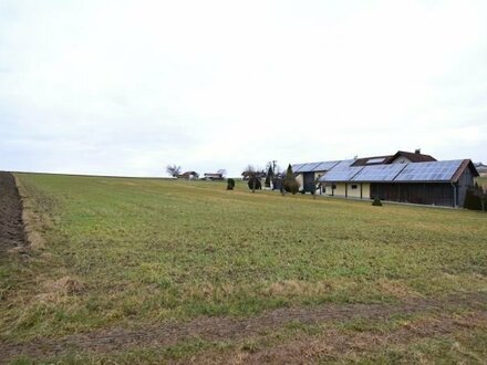 *** Landwirtschaftliche Flächen suchen neuen Eigentümer ***