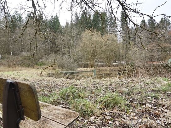 Wald? Wiese? See? Großzügiges Freizeitgrundstück mit Vielfalt!