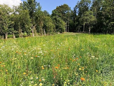 Traumhaftes Baugrundstück in Münchehagen / Steinhuder Meer