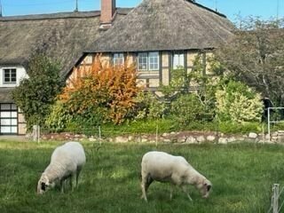 Landhaus unweit von Hamburg am Golfplatz Apeldör -Pool ,Sauna,Fitnesshaus , top möbliert