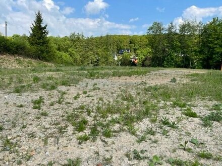 ruhig gelegenes Baugrundstück in Zwickau/Weißenborn