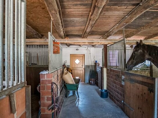 Schöne Lage am Rande eines Naturschutzgebietes – Wohnhaus mit Pferdeställen, Reitplatz und Weideflächen