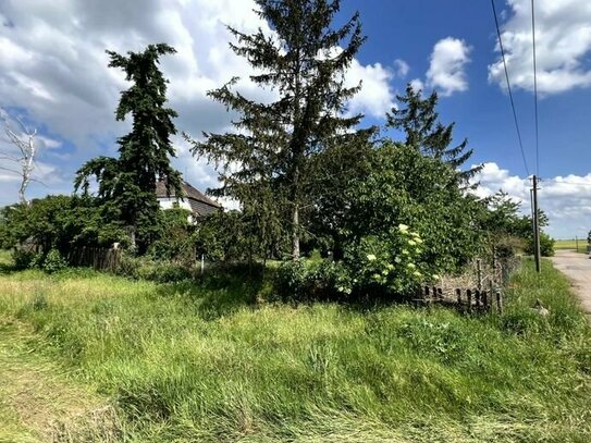 schönes und ruhig gelegenes Baugrundstück am Ortsrand von Dieskau inkl. genemigter Bauvoranfragen