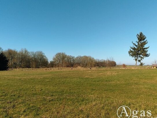 Noch zu teilendes ca. 1.250m² großes Grundstück mit ca. 4.000m² Gartenland in Ostseenähe