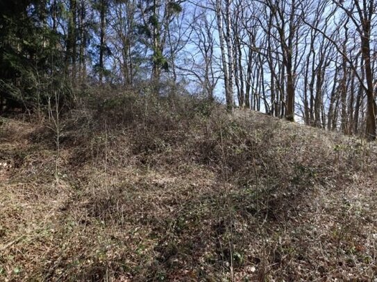 Baugrundstück mit Hanglage und Baumbestand, rechteckiger Zuschnitt, im Wochenendhausgebiet Mehren14