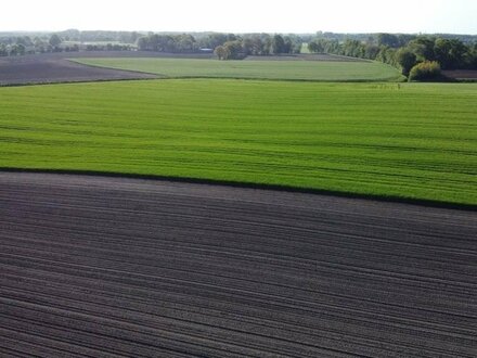 Wiese in Margertshausen zu verkaufen!