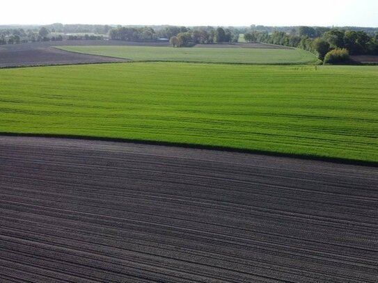 Wiese in Margertshausen zu verkaufen!