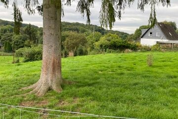 Sie suchen ein schönes Grundstück? Baugrundstück in grüner Lage, in Kürten-Spitze!