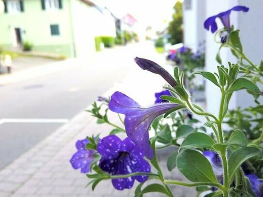 Saniertes Haus mit 3 separaten Wohnungen in Gailingen zu verkaufen!