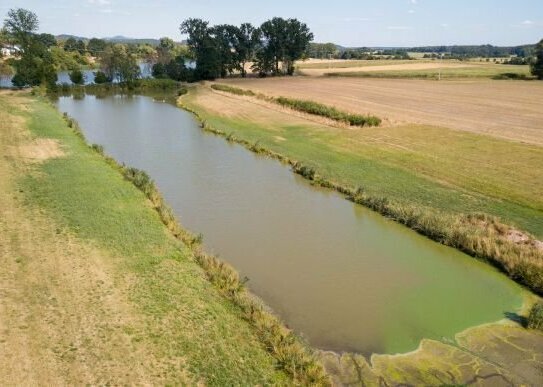 Ausgleichsflächen durch Ökopunkte - Weiher- und Wiesenfläche mit großem Potential bei Dinkelsbühl