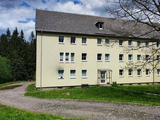 Vermietete Eigentumswohnung im Erzgebirge zur Kapitalanlage-Neuer Preis!!!