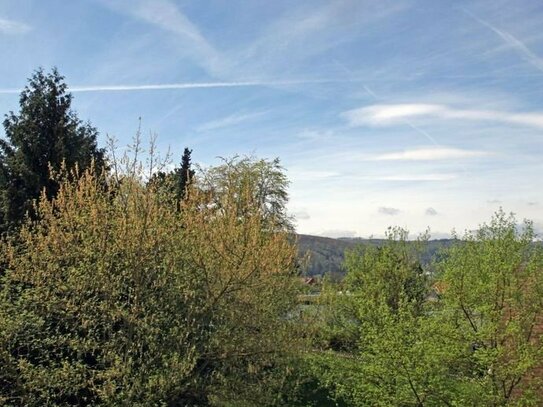 Bad Harzburg Süd/Westbalkon mit Weitsicht helle 2 Zimmer Wohnung