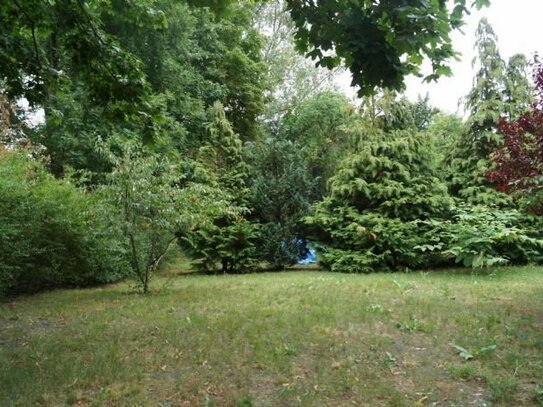 Am Landschaftsschutzgebiet gelegen, Baugrundstück im Kurort Blenhorst (Balge), Ausblick unverbaubar