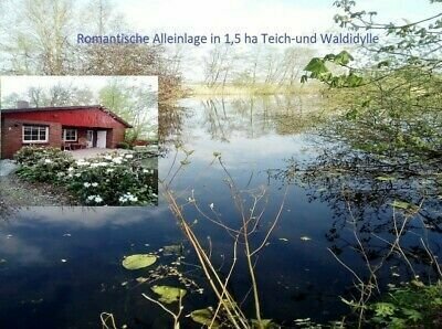 Ferienhaus in TOP ALLEINLAGE 1,5ha im WALD, direkt am KANAL+TEICH