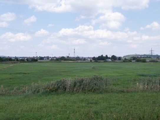 Große Wiese - Grünland als Ausgleichsfläche