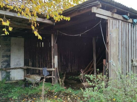 Das Glück der Erde liegt auf dem Rücken der Pferde