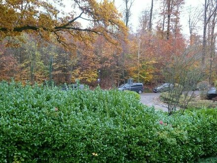 WALDBLICK: 3-Zimmer-Eigentumswohnung mit Balkon