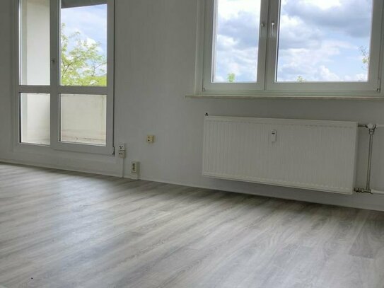 ** aufgepasst!! neu sanierte Familienwohnung 4 Raum mit balkon - außerhalb von Dessau!**