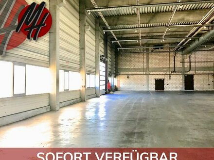 SCHNELL VERFÜGBAR - Lagerflächen (1.500 m²) & Büroflächen (250 m²) zu vermieten