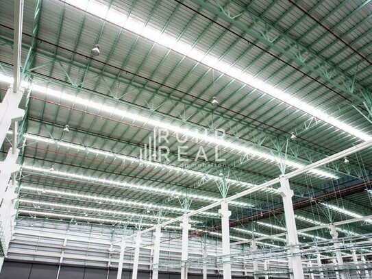 6.000 m² Produktion-/ Lagerfläche | Rampen/ Tore | komplett umzäuntes Gelände | RUHR REAL