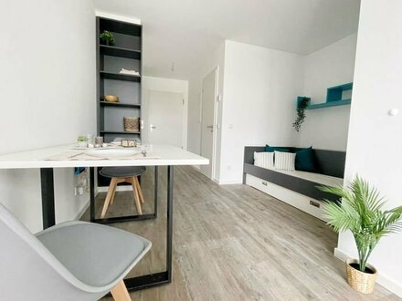 Möbliertes 1 Zimmer Apartment mit Terrasse,WLAN und TG Kfz-Stellplatz