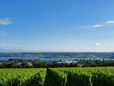 Neuer Kaufpreis - 8%: grosszügige Eigentumswohnung in Überlingen mit Seeblick Bodensee zu verkaufen