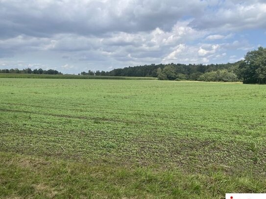 Gutes Ackerland in Wehrbleck zu verkaufen