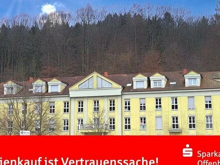 Lahr - Vermietete 3 Zimmer-Wohnung!