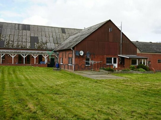 Entdecken Sie Ihre Visionen in der ländlichen Idylle in Cuxhaven - Altenwalde!