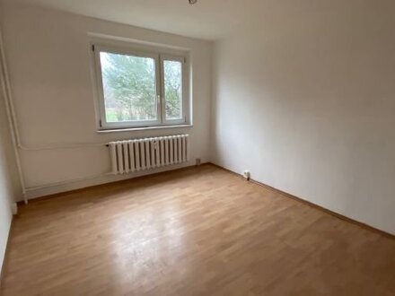 *Frisch Renovierte Wohnung* 3 Zimmer Wohnung im 2.OG