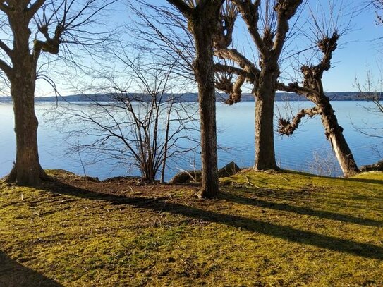 Baugrundstück in Ammerland nur 5 Gehminuten zum Sta See