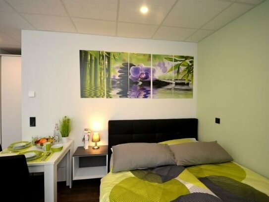 Geräumiges 1-Zimmer-Apartment für 2 Personen, voll ausgestattet, zentral Offenbach