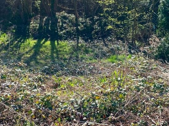 Baugrundstück mit Planung und Statik in Fröndenberg am Hirschberg gelegen