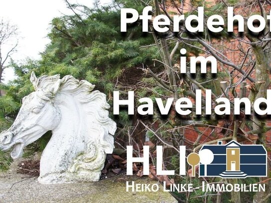 Havelländer Pferdehof im Dornröschenschlaf!