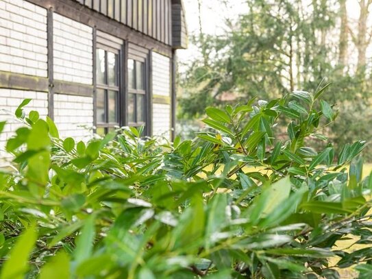 Wohnen und leben in der Waldsiedlung Dassendorf - Lässt Familienherzen höher schlagen. Auch Ihres?