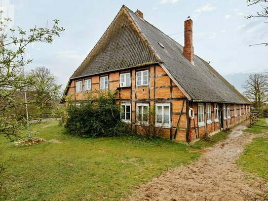 Resthof mit Option zur Pferdehaltung und Ferienvermietung an der Elbe